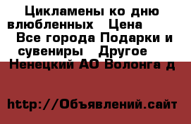 Цикламены ко дню влюбленных › Цена ­ 180 - Все города Подарки и сувениры » Другое   . Ненецкий АО,Волонга д.